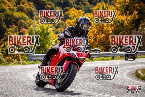 Forca d Acero 12-10-25 h13-33 1656