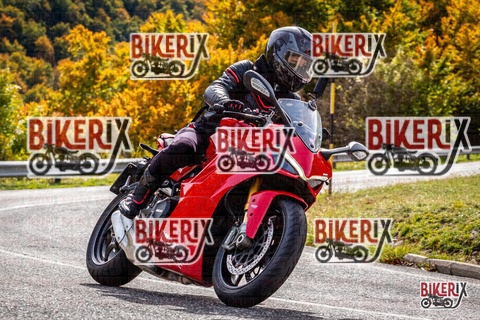 Forca d Acero 12-10-25 h13-33 1657