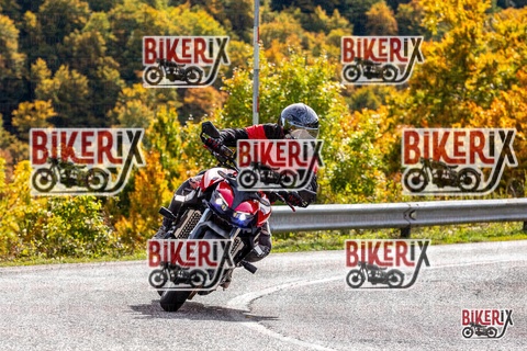 Forca d Acero 12-10-25 h13-33 1658