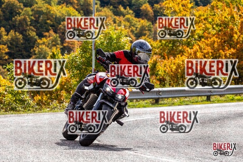 Forca d Acero 12-10-25 h13-33 1659