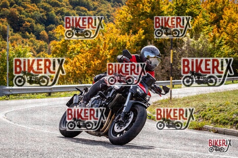 Forca d Acero 12-10-25 h13-33 1660