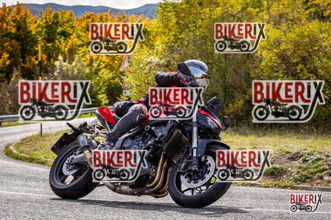 Forca d Acero 12-10-25 h13-33 1661