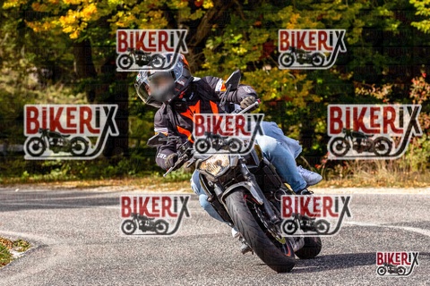 Forca d Acero 12-10-25 h13-35 1665