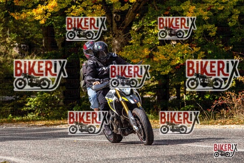 Forca d Acero 12-10-25 h13-35 1668