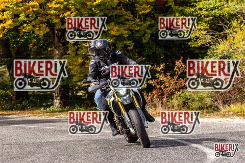 Forca d Acero 12-10-25 h13-35 1670