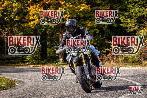 Forca d Acero 12-10-25 h13-35 1672