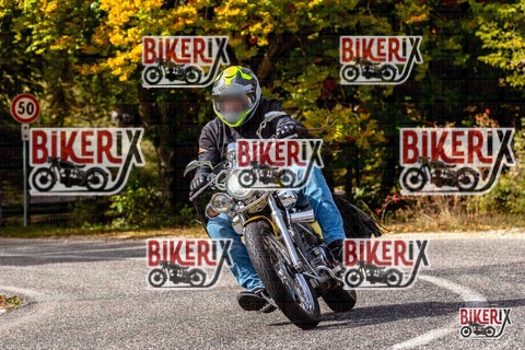 Forca d Acero 12-10-25 h13-38 1688