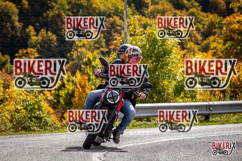 Forca d Acero 12-10-25 h13-39 1693