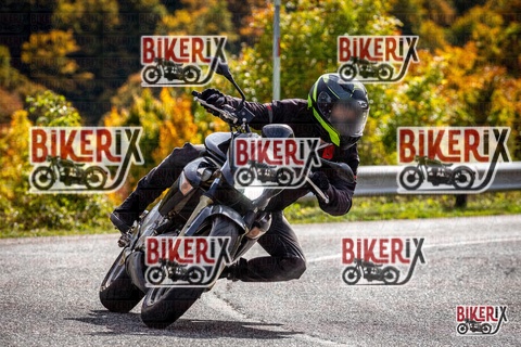 Forca d Acero 12-10-25 h13-40 1701