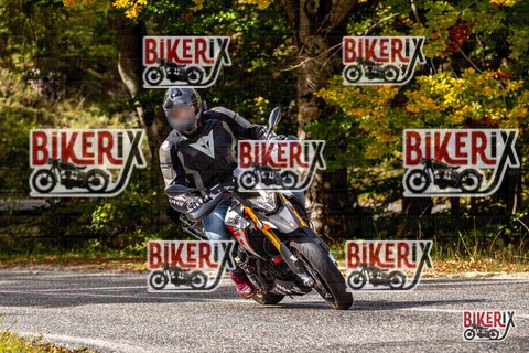 Forca d Acero 12-10-25 h13-47 1733