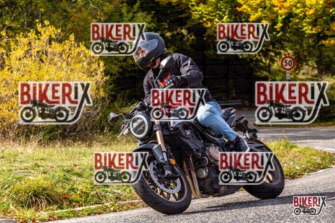 Forca d Acero 12-10-25 h13-47 1739