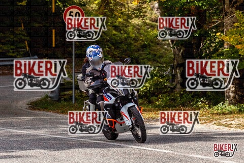 Forca d Acero 12-10-25 h13-48 1741