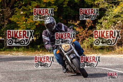 Forca d Acero 12-10-25 h14-12 1773