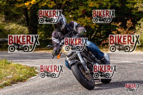 Forca d Acero 12-10-25 h14-12 1774