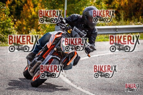 Forca d Acero 12-10-25 h14-13 1782