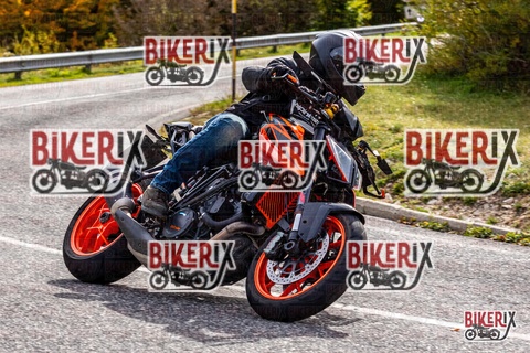 Forca d Acero 12-10-25 h14-13 1784