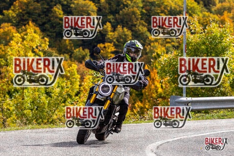 Forca d Acero 12-10-25 h14-13 1786