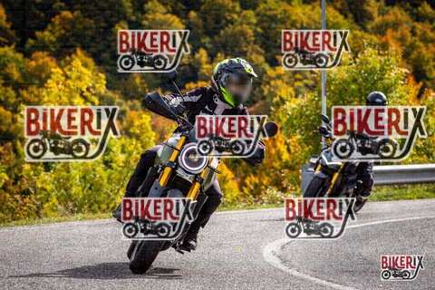 Forca d Acero 12-10-25 h14-13 1787