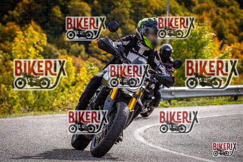 Forca d Acero 12-10-25 h14-13 1788