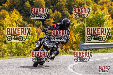 Forca d Acero 12-10-25 h14-13 1789