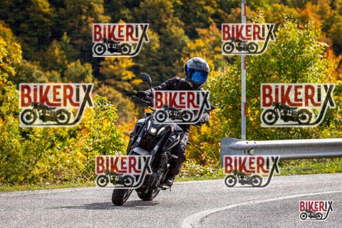 Forca d Acero 12-10-25 h14-13 1791