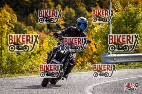 Forca d Acero 12-10-25 h14-13 1792