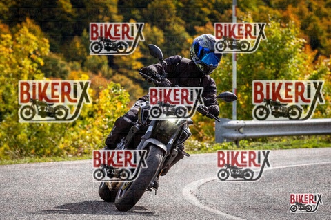 Forca d Acero 12-10-25 h14-13 1793