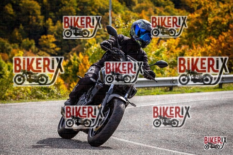 Forca d Acero 12-10-25 h14-13 1794