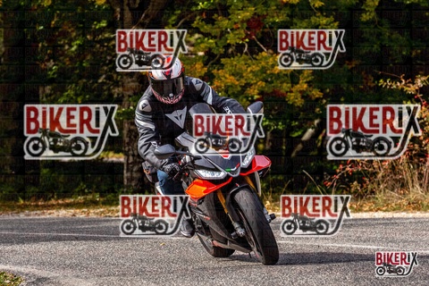 Forca d Acero 12-10-25 h14-18 1795