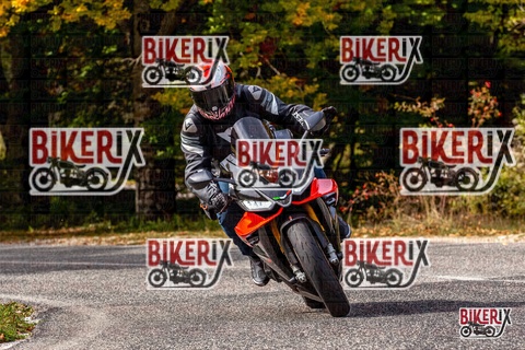 Forca d Acero 12-10-25 h14-18 1796