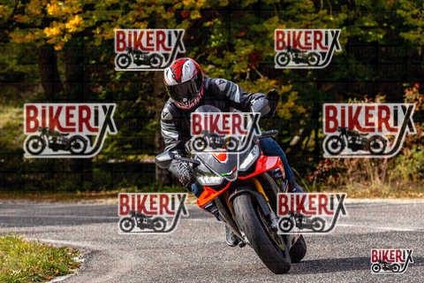 Forca d Acero 12-10-25 h14-18 1797