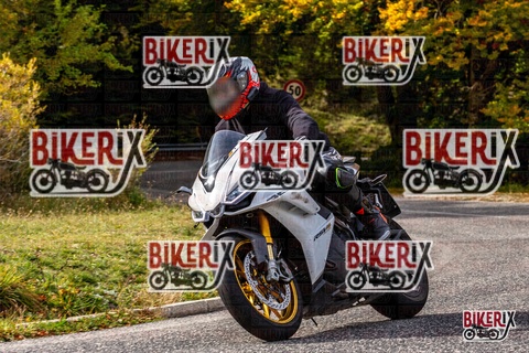 Forca d Acero 12-10-25 h14-18 1803