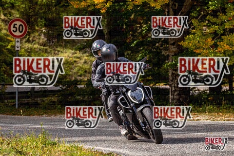 Forca d Acero 12-10-25 h14-18 1807