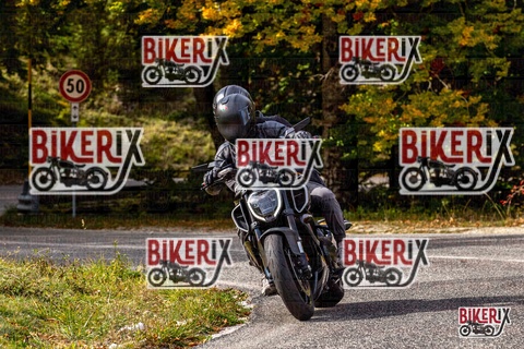 Forca d Acero 12-10-25 h14-18 1809