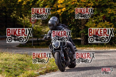 Forca d Acero 12-10-25 h14-18 1810