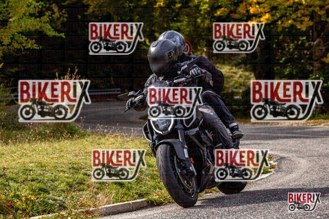 Forca d Acero 12-10-25 h14-18 1811