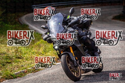 Forca d Acero 12-10-25 h14-19 1816