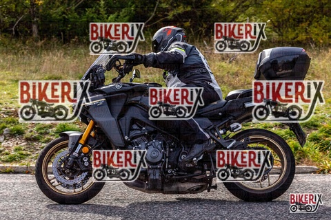 Forca d Acero 12-10-25 h14-19 1818