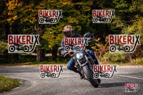 Forca d Acero 12-10-25 h14-19 1819