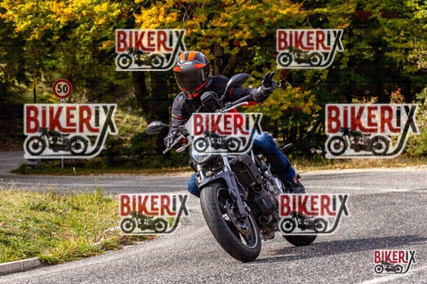 Forca d Acero 12-10-25 h14-19 1820