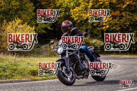 Forca d Acero 12-10-25 h14-19 1821