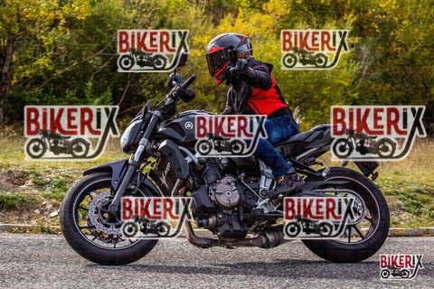 Forca d Acero 12-10-25 h14-19 1822