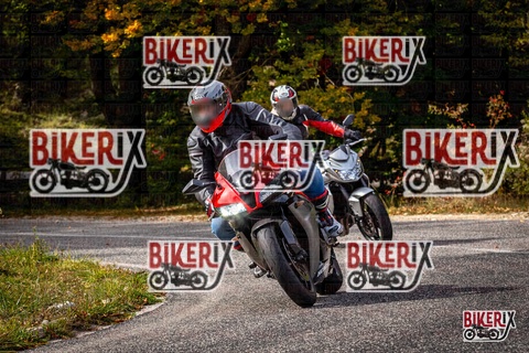 Forca d Acero 12-10-25 h14-19 1823