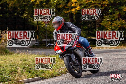 Forca d Acero 12-10-25 h14-19 1824