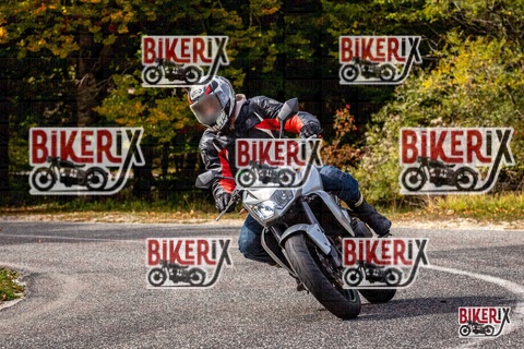 Forca d Acero 12-10-25 h14-19 1825