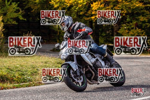 Forca d Acero 12-10-25 h14-19 1826