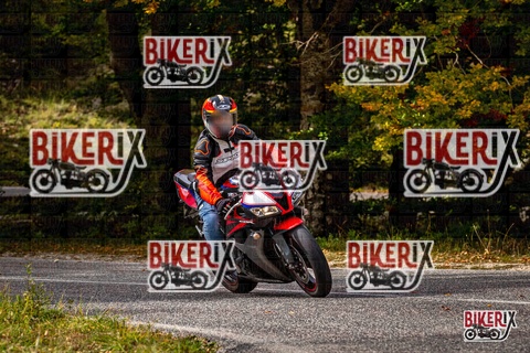 Forca d Acero 12-10-25 h14-19 1828