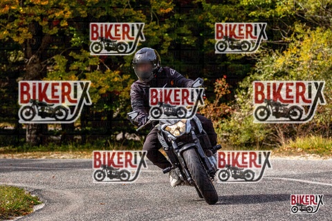 Forca d Acero 12-10-25 h14-20 1835