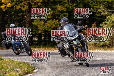 Forca d Acero 12-10-25 h14-20 1841