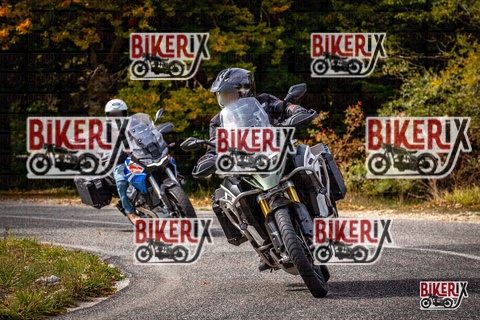 Forca d Acero 12-10-25 h14-20 1842